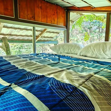 Cabana Treehouse Mountain View San Isidro  Экстерьер фото